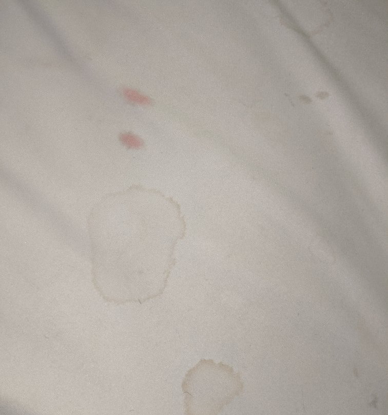 Extended Stay America - Chicago - Buffalo Grove - Deerfield主图