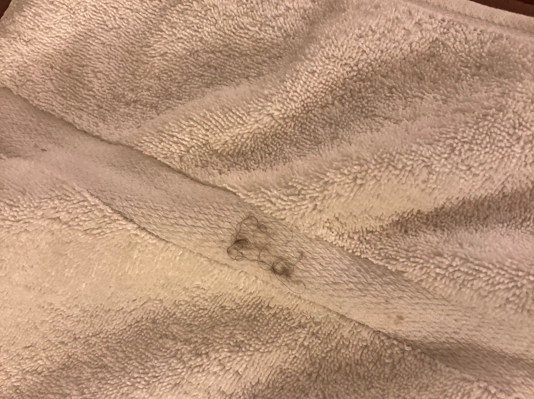 黄石公园狮头速8汽车旅馆主图