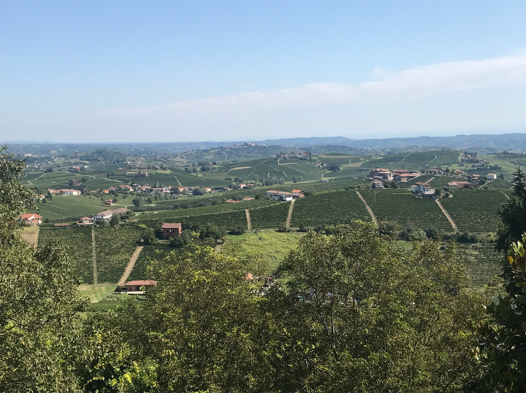 Santo Stefano Belbo酒店住宿-Il Duca Bianco