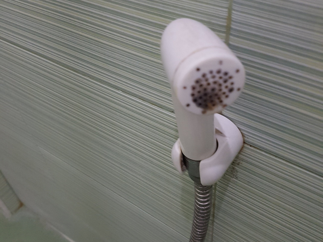 Naga Pilgrims Hotel主图