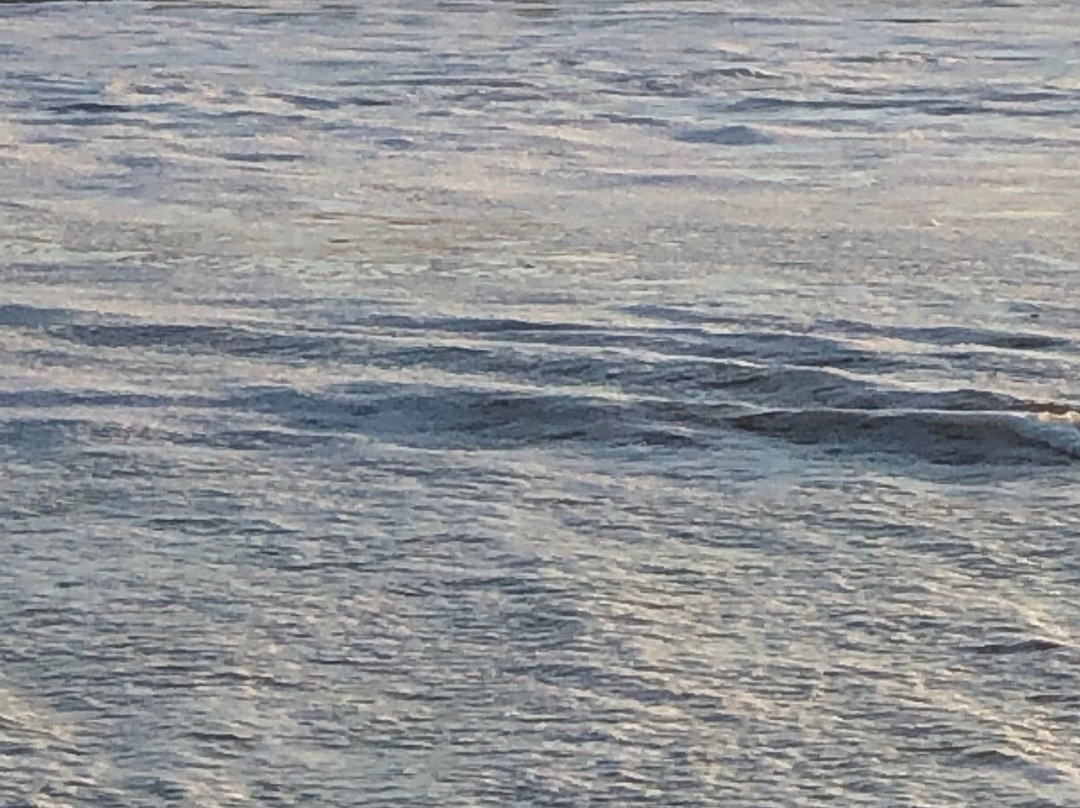 Twin Lakes State Beach-圣克鲁斯必去景点