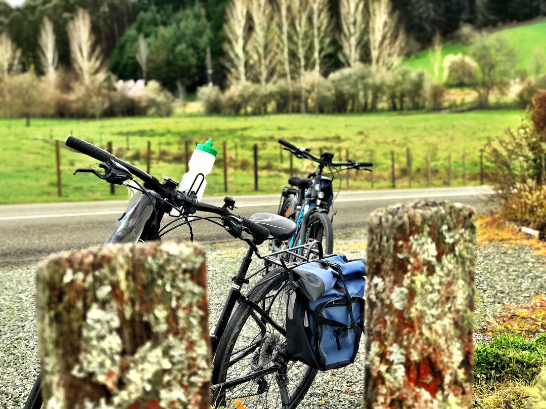 Wheelie Fantastic Cycle Hire & Tours景点图片