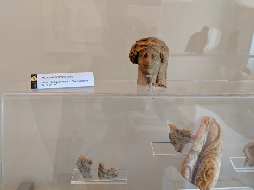 Nuovo Museo Archeologico di Ugento (Museo Civico)景点图片