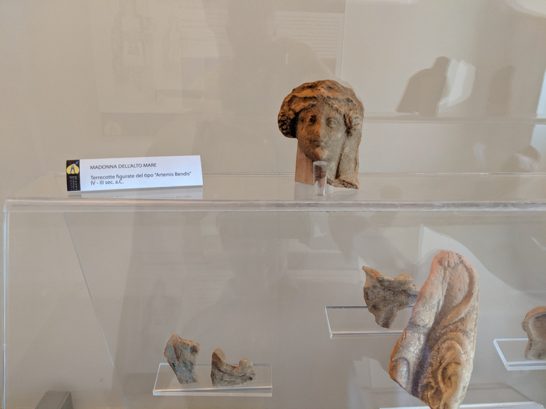 Nuovo Museo Archeologico di Ugento (Museo Civico)-乌真托必去景点