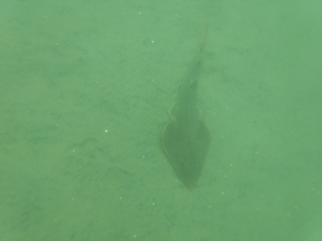 SD Expeditions-拉荷亚必去景点