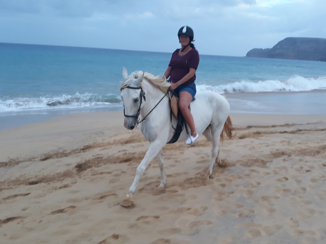 Centro Hípico do Porto Santo-Porto Santo Island必去景点