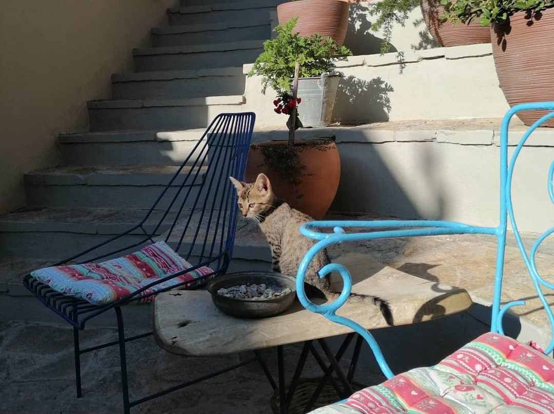 柯鲁罕酒店主图