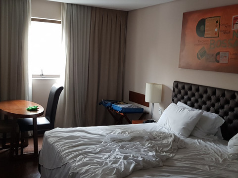 里约热内卢格雷别墅主图