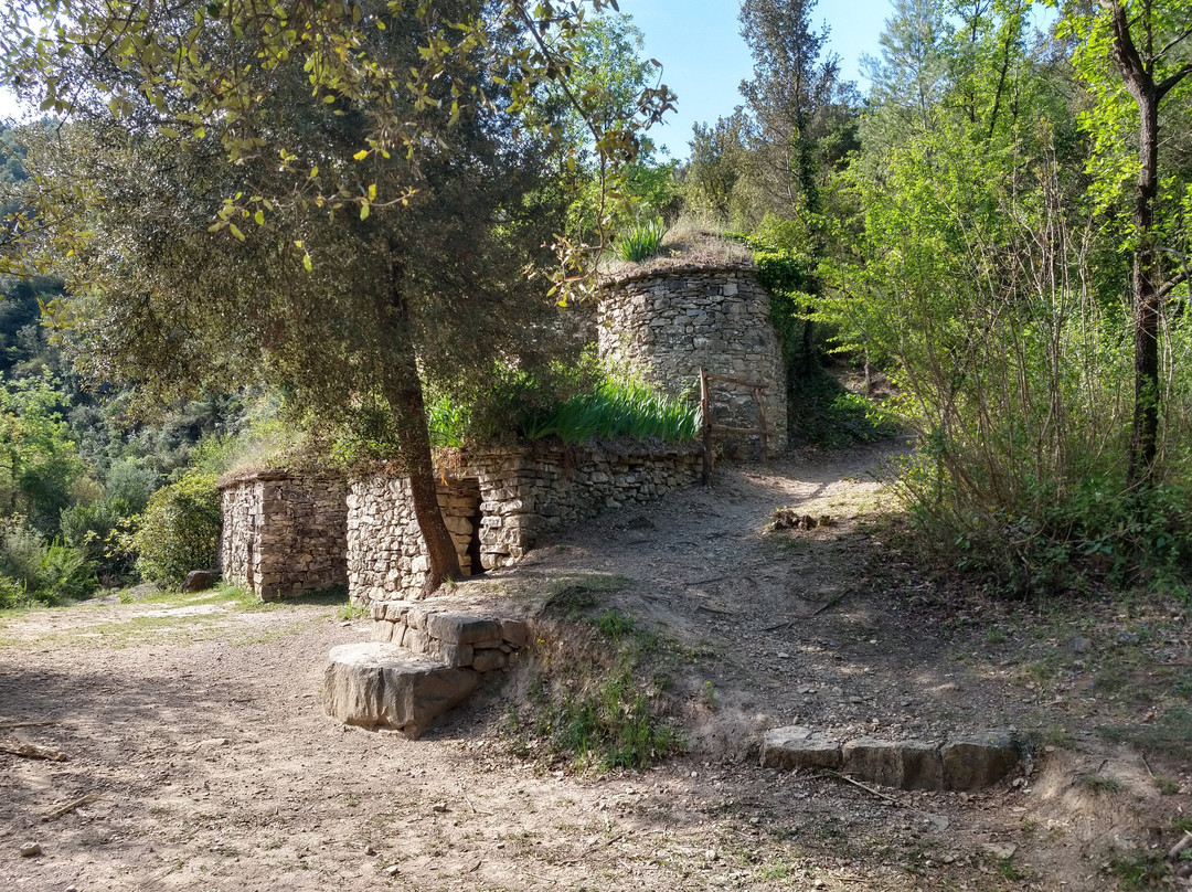 Tines de la Vall del Flequer景点图片