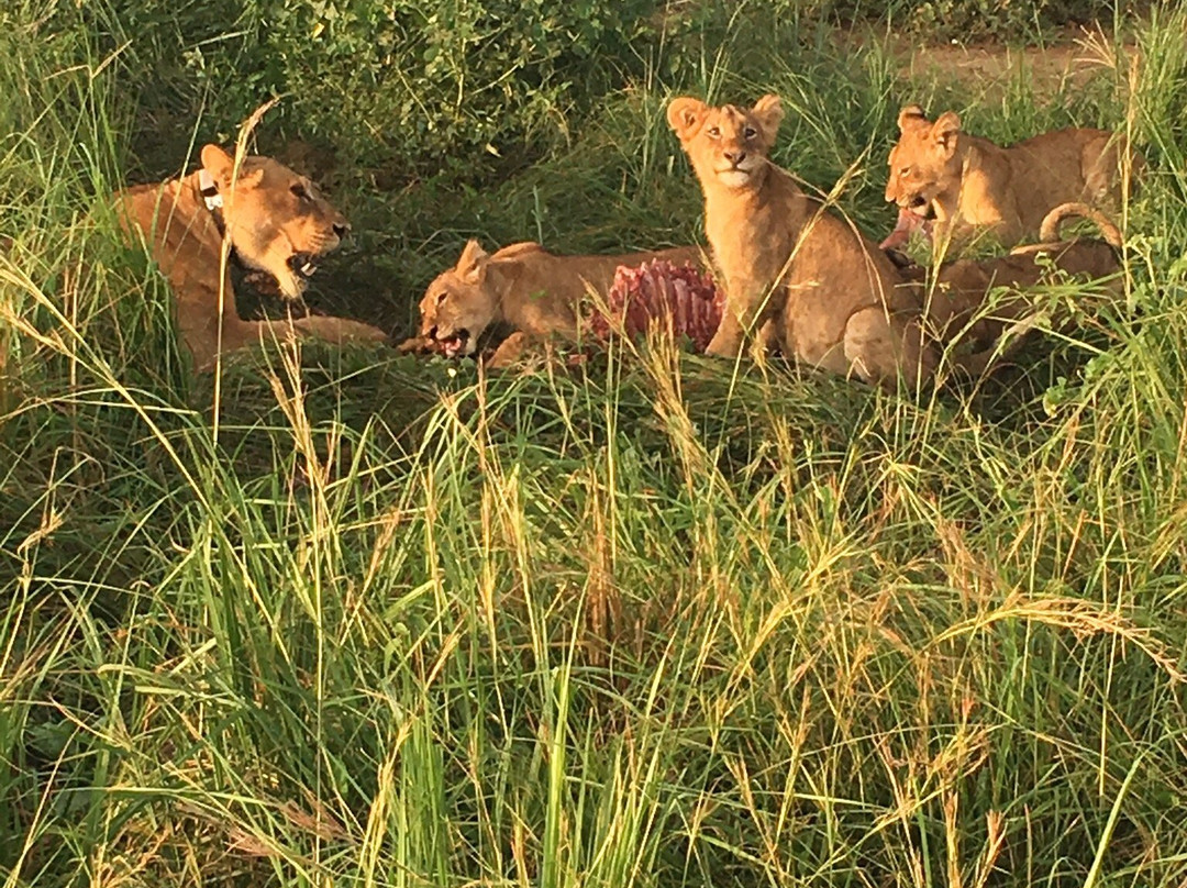 GreTours-恩德培必去景点