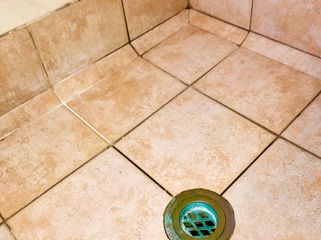 Coral Reef Resort主图