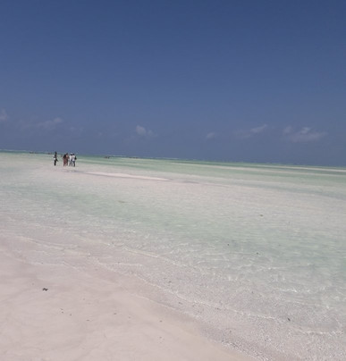 Tripskenya-瓦塔木必去景点