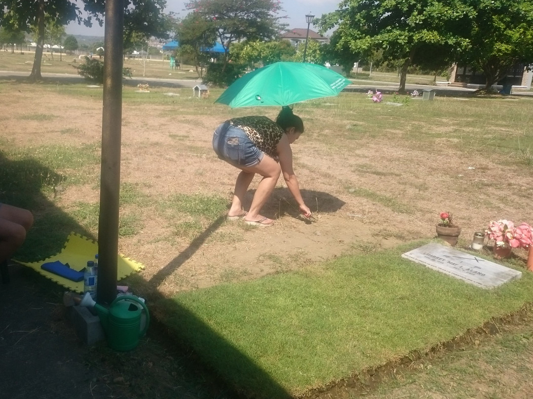 Carmona Municipal Park-Carmona必去景点