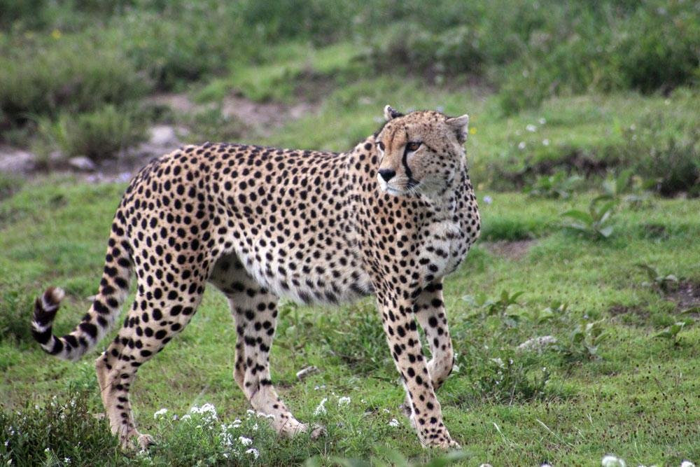 Africa Top Guide Expeditions, Ltd景点图片