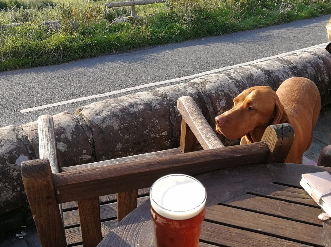 The Pheasant Inn主图