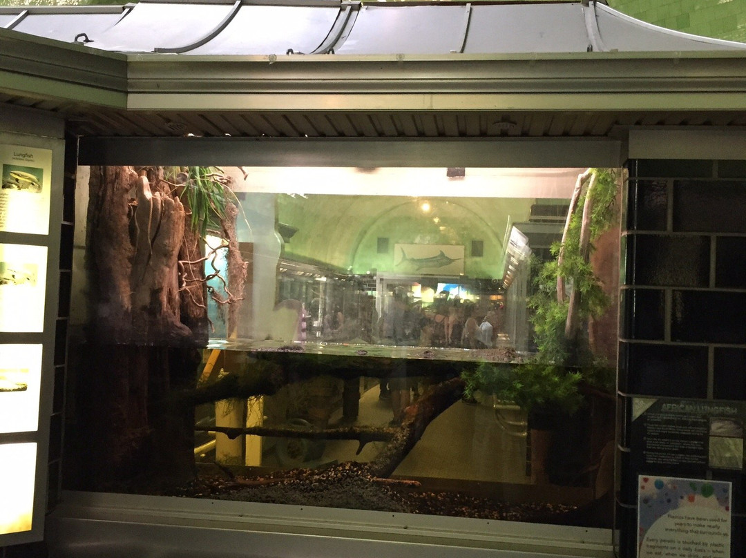 Belle Isle Aquarium-底特律必去景点