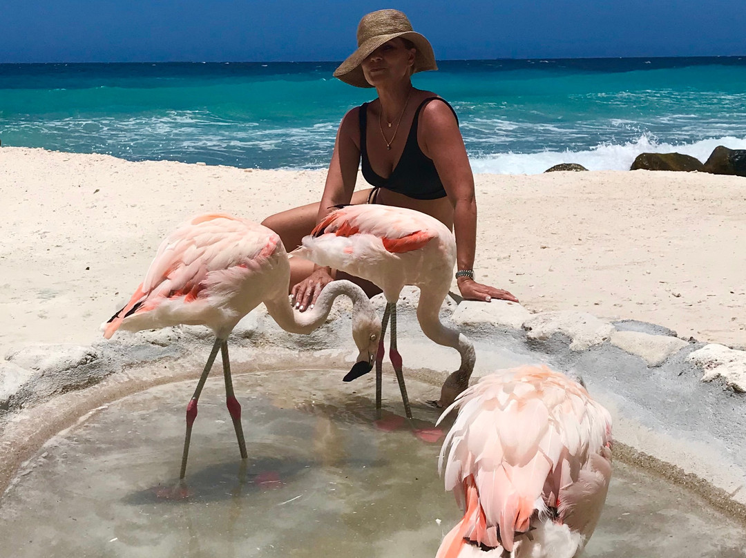 Renaissance Island-阿鲁巴岛必去景点