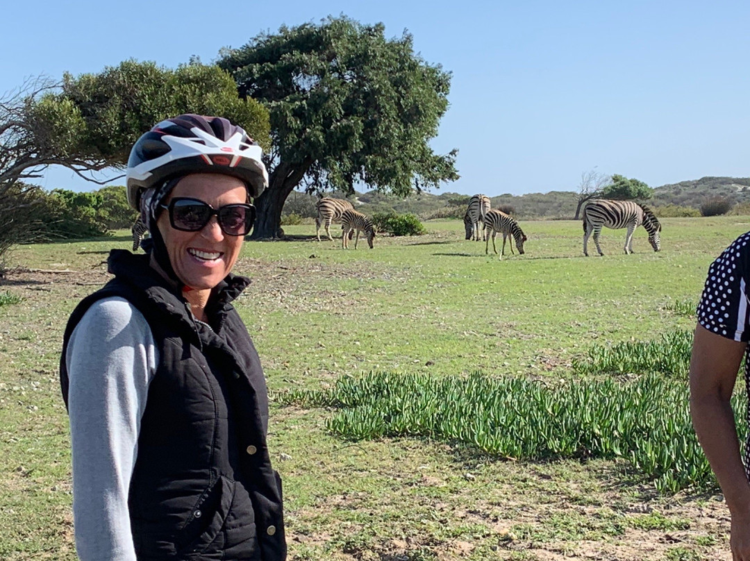 Koeberg Private Nature Reserve-Green Point必去景点