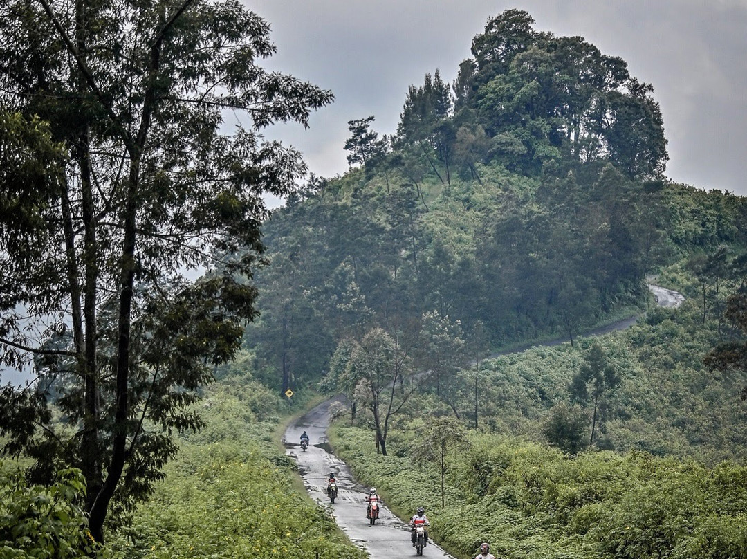 Puncak B29-Lumajang必去景点