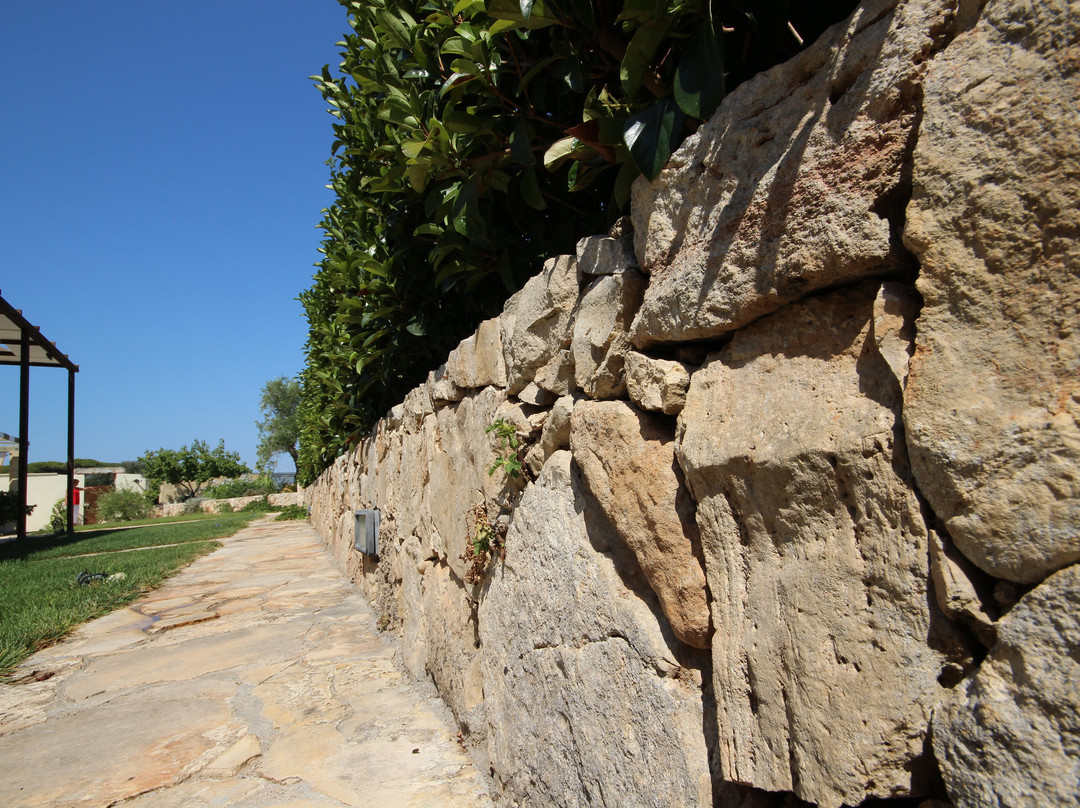 Villa B&B Antiche Macine del Salento主图