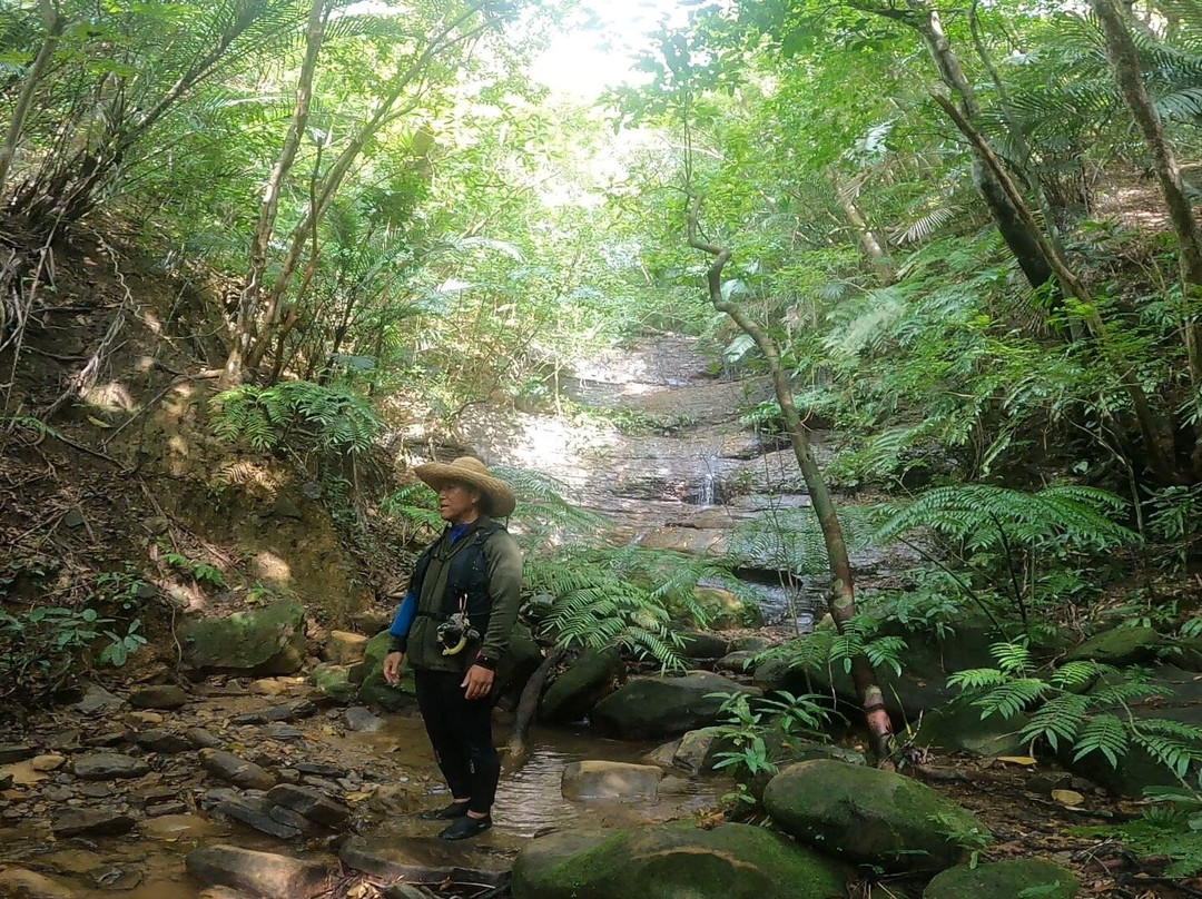 Iriomotejima Ken Guide-竹富町西表岛必去景点