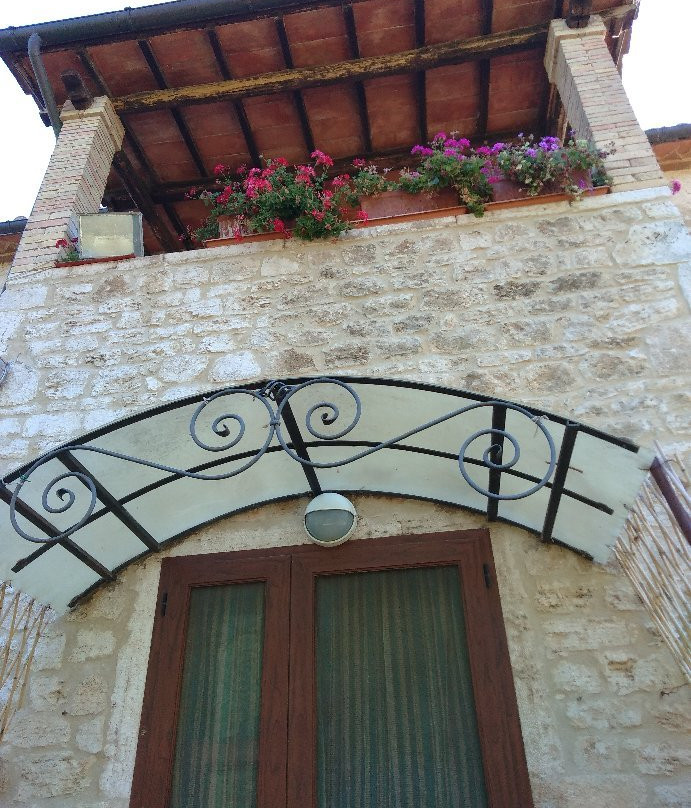 Agriturismo La Pellegrina主图