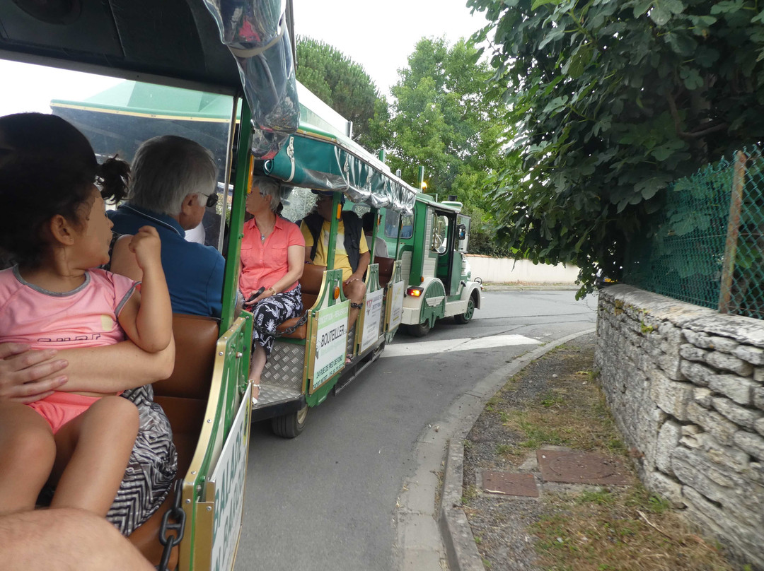 Le Petit Train du Marais Poitevin-Coulon必去景点