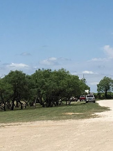 Americas Best Value Inn Baird主图