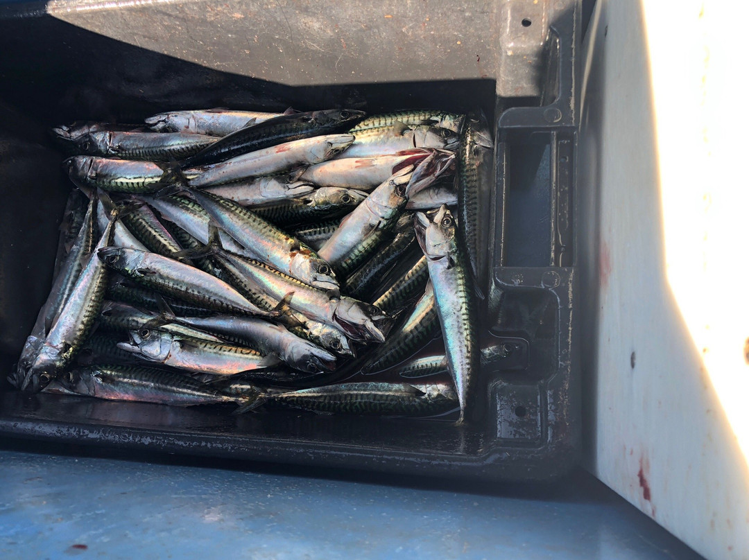 Bob's Deep Sea Fishing-North Rustico必去景点