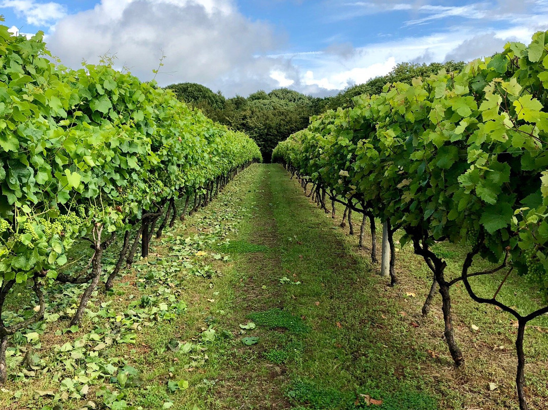 Biddenden Vineyards景点图片