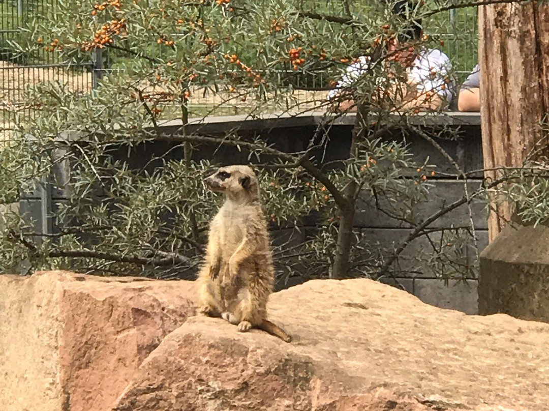 Tierpark Alsdorf景点图片