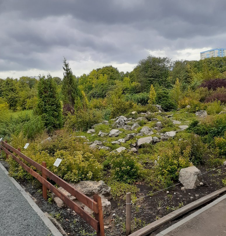 Botanical Garden of Samara State University景点图片