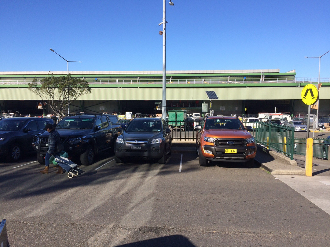 Sydney Markets景点图片