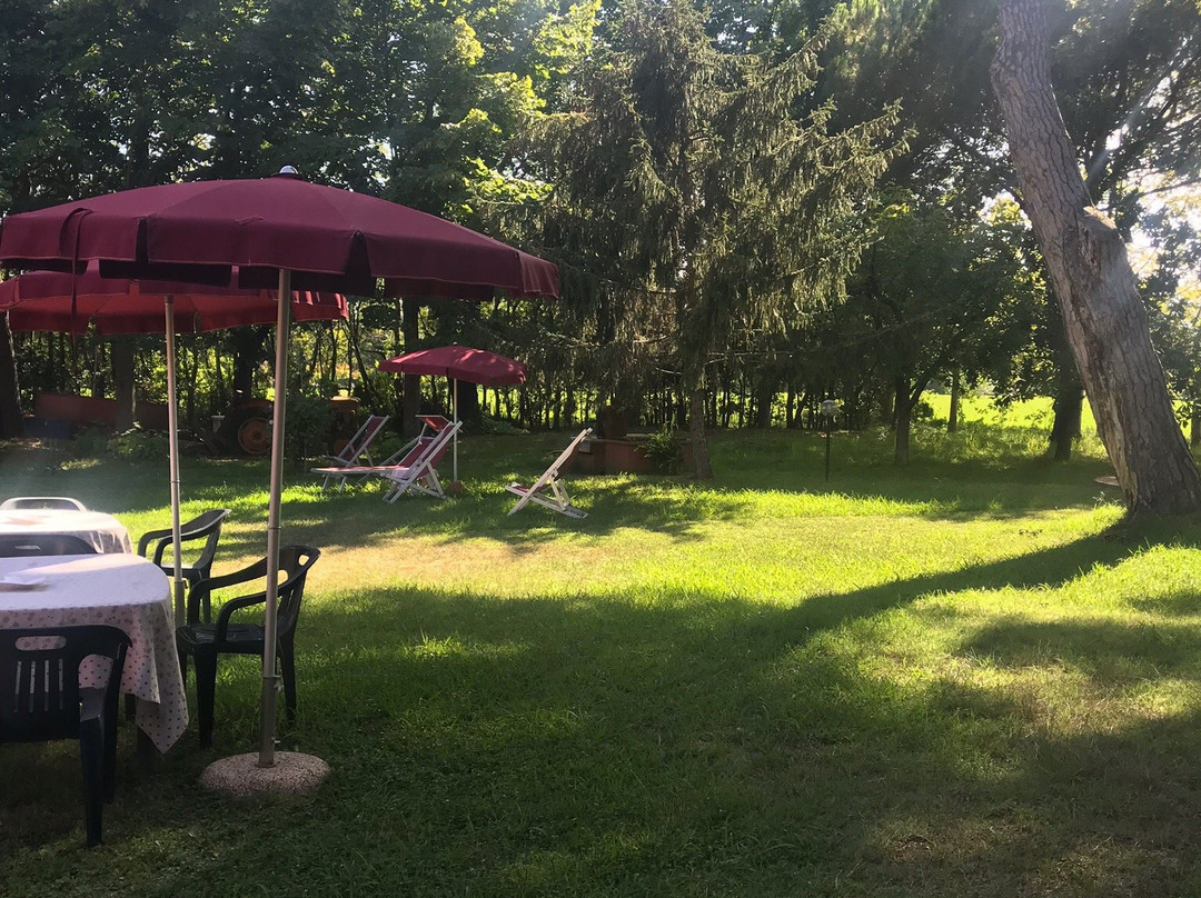 Fattoria Battilana主图