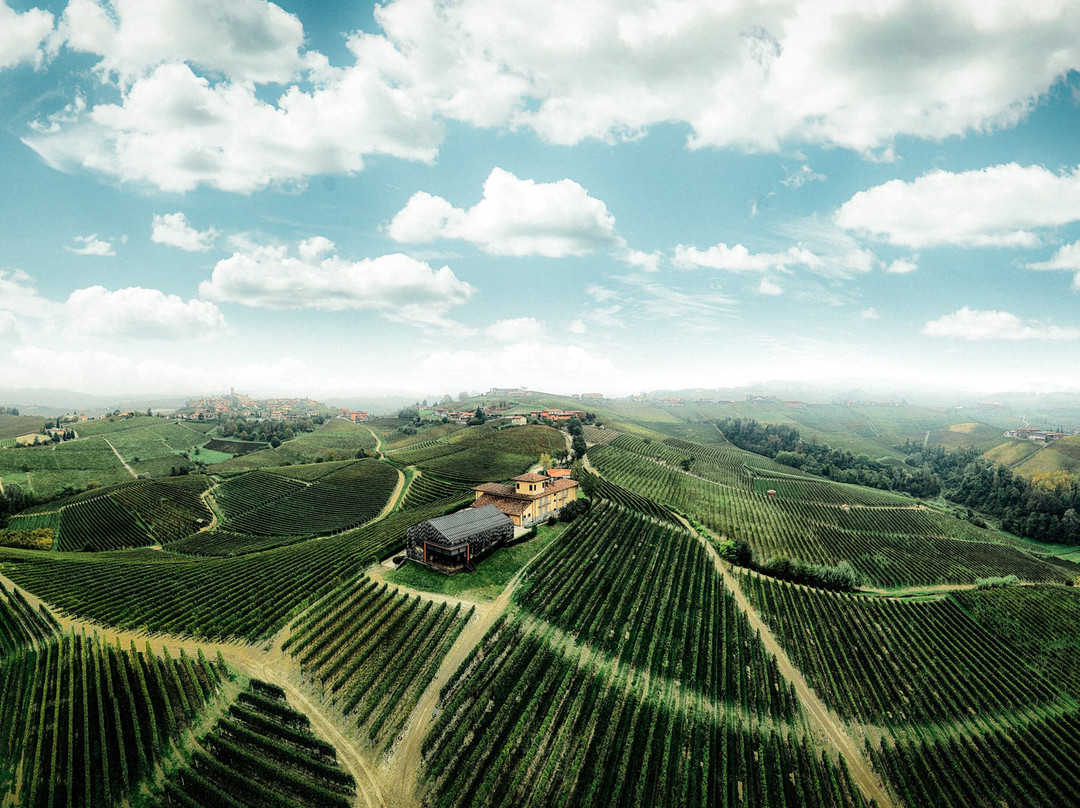 Castiglione Falletto旅游景点-Boroli - Cantina "La Brunella"