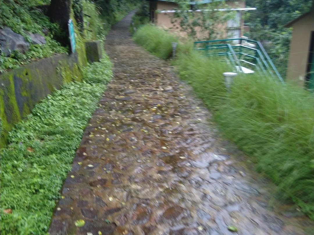 The Sal Woods Resort and Spa主图