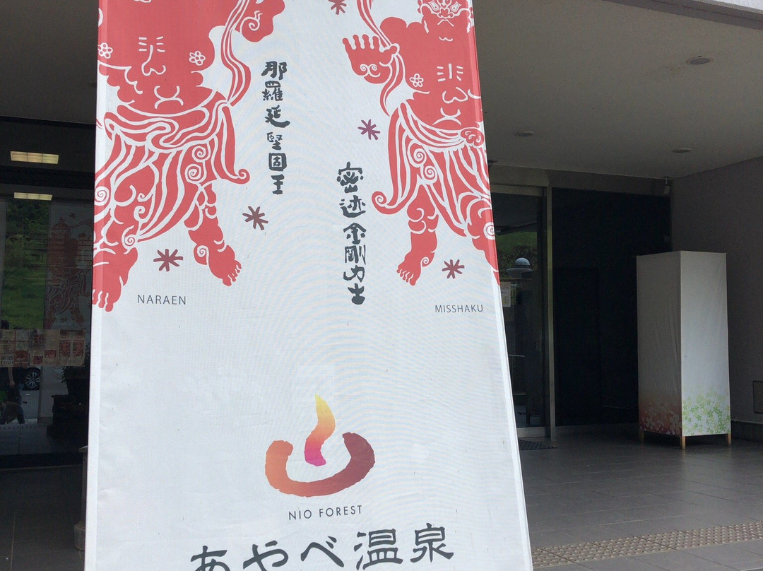 Ayabe Onsen Niokan主图