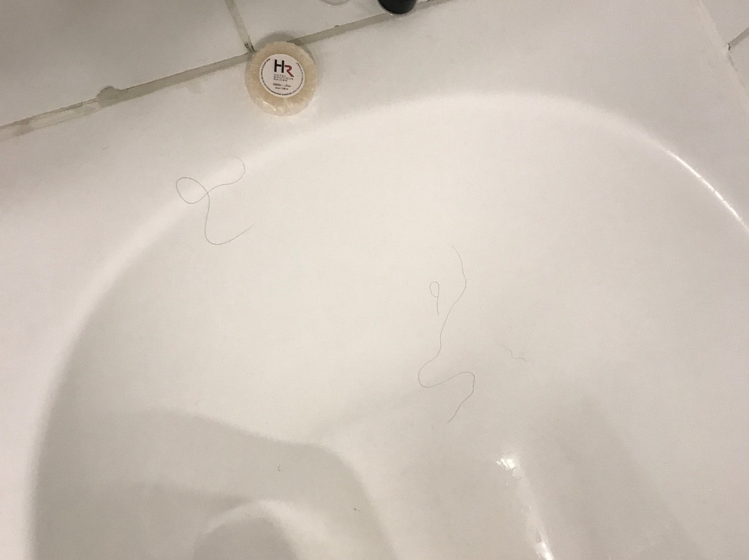 Curico酒店住宿-Hotel Boutique Raíces