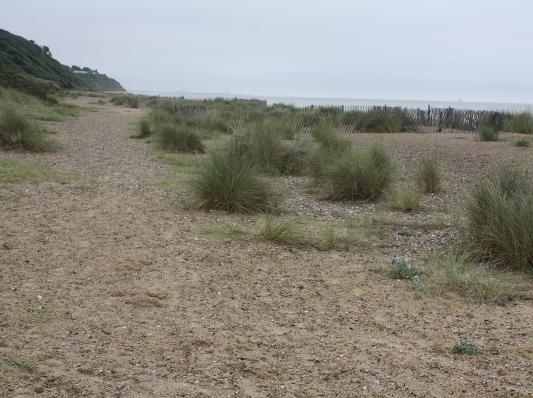 Gunton Warren Nature Reserve-洛斯托夫特瓷必去景点