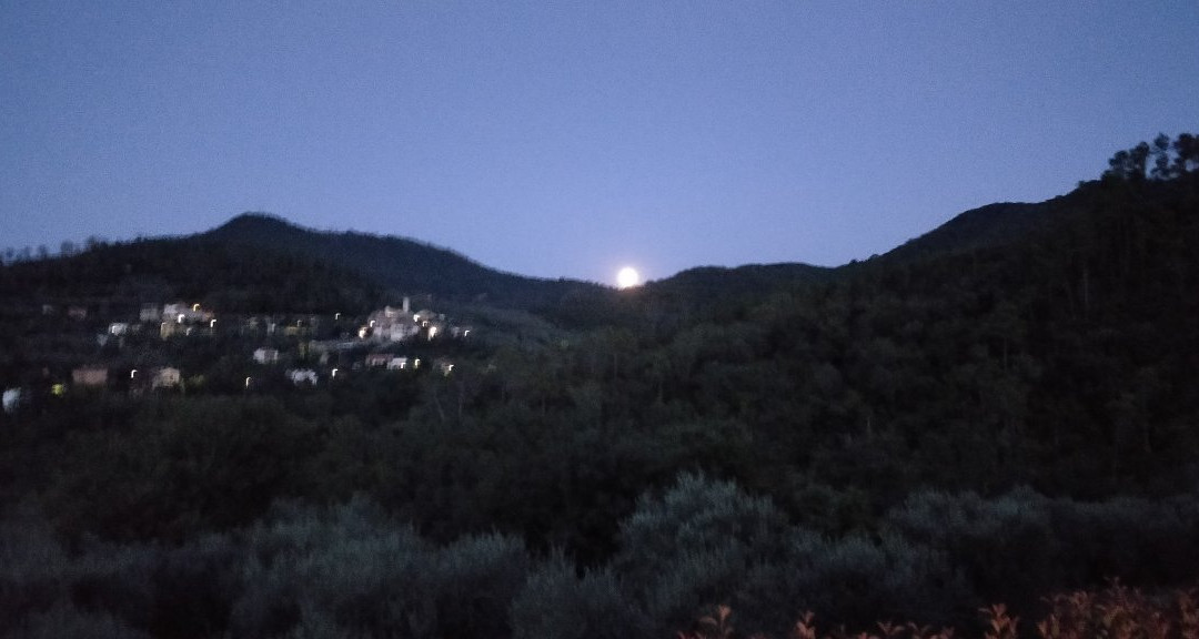 Almablanca Azienda Agricola B&B Agriturismo主图