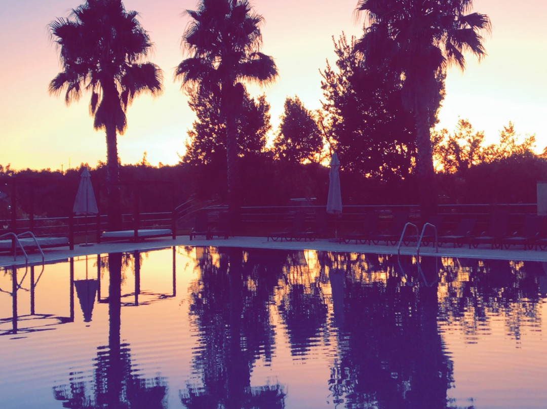 Palácio São Silvestre - Boutique Hotel主图