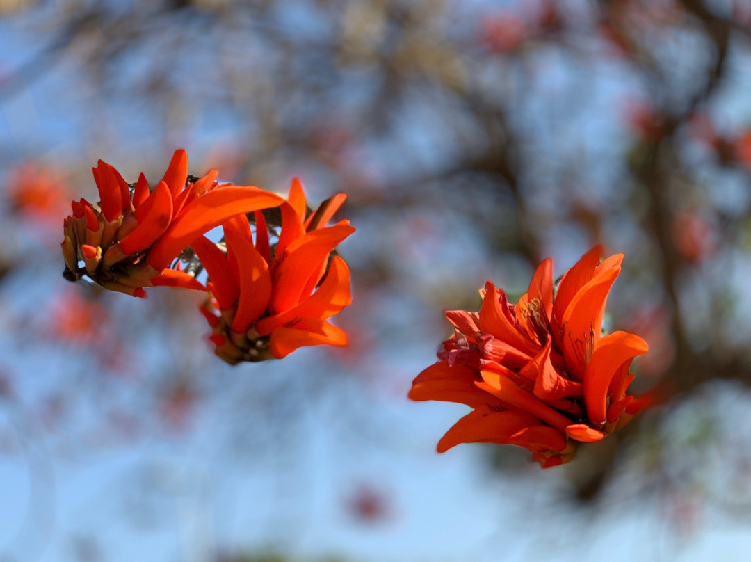 田庄招待所酒店主图