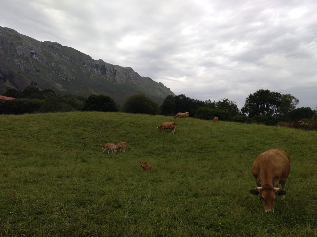La QuintaEsencia Hotel Rural - adults only主图