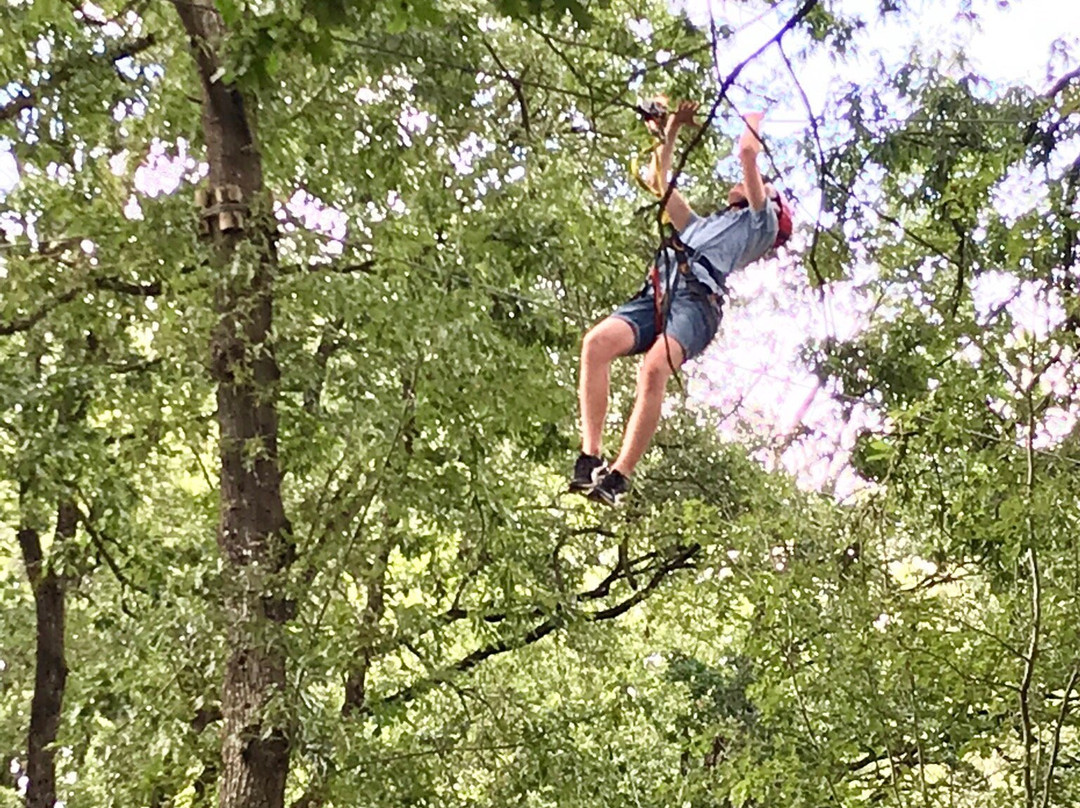 Parc Saumur Forest Aventures景点图片