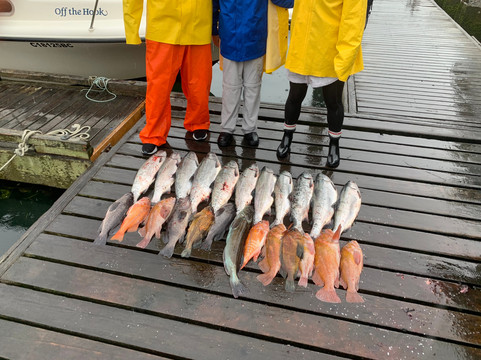 Cleanline Sportfishing Charters-托菲诺必去景点