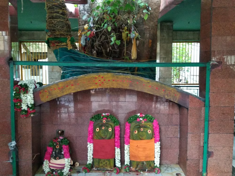 Sri Seshadri Swamigal Ashram-Tiruvannamalai必去景点