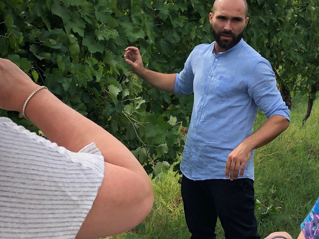 Lugana Wine Tours-代森扎诺-德尔加达必去景点