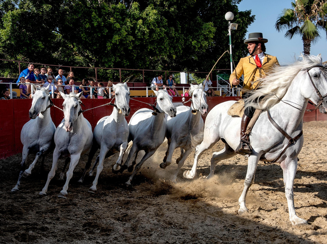 Spanish Night-Las Lagunas de Mijas必去景点