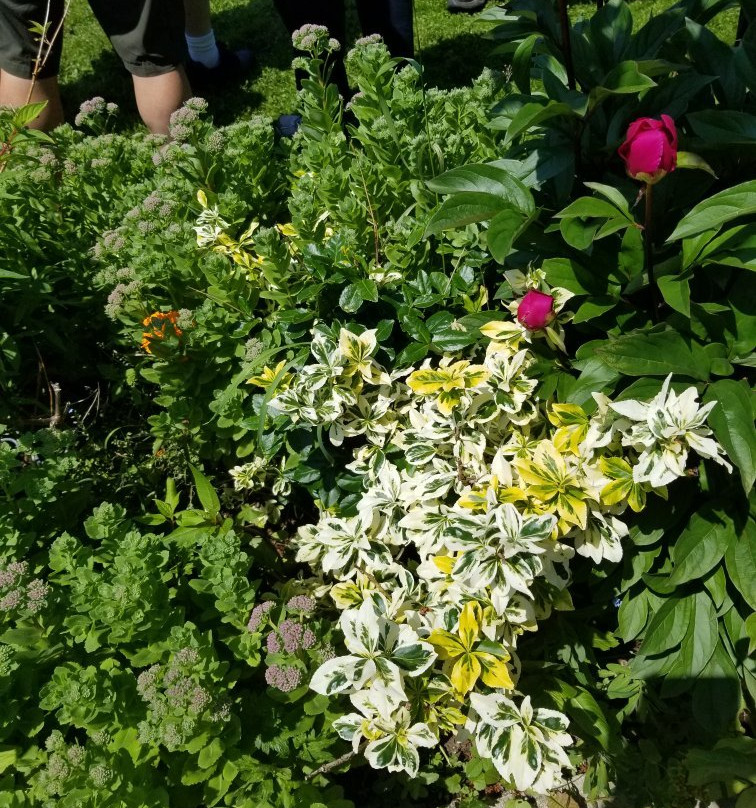 Maidstone Inn Bed and Breakfast主图