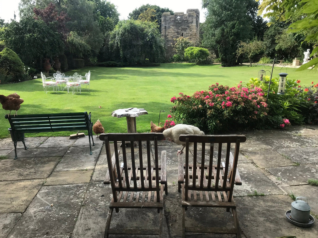 West Wing Apartment B&B主图